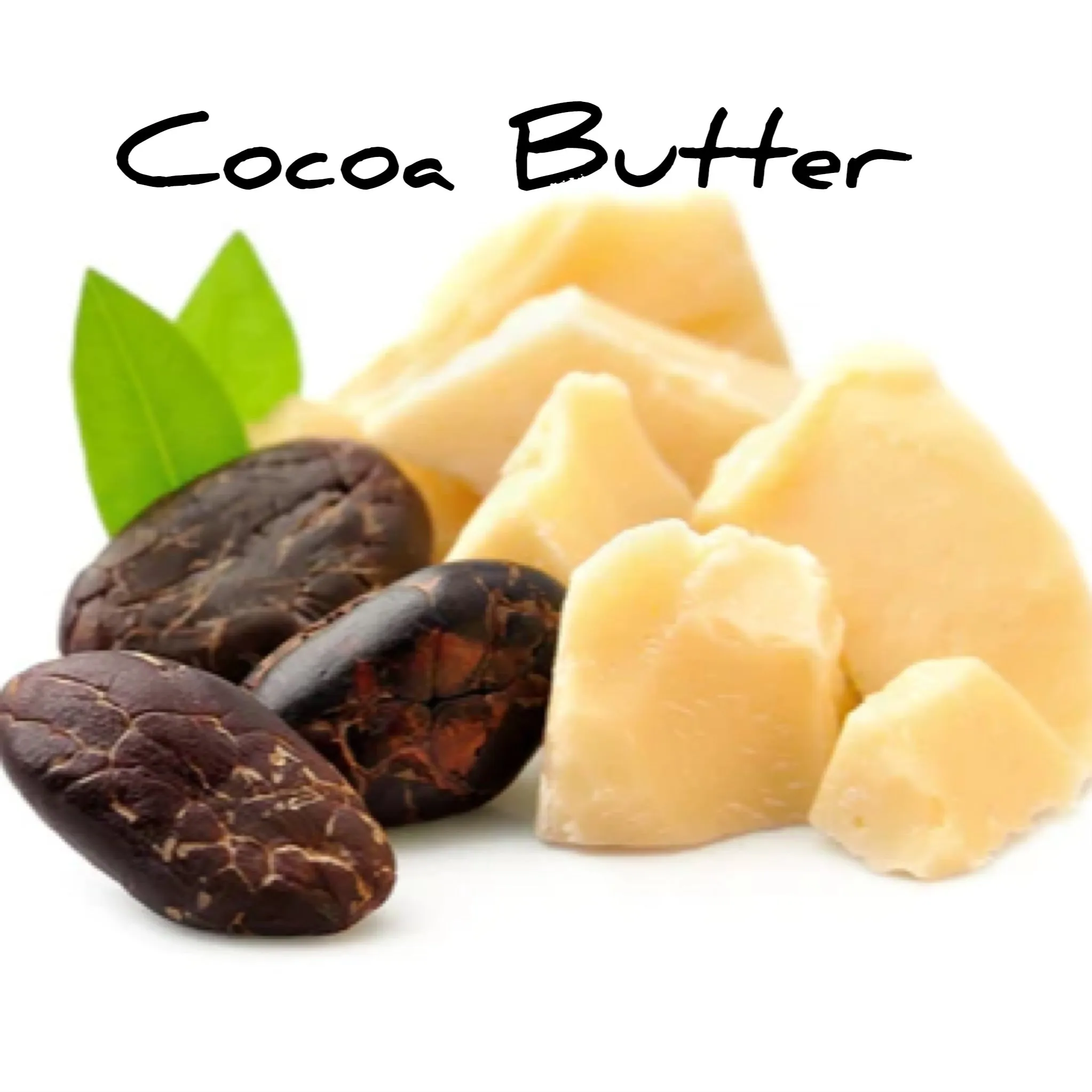 Anti Oxidant Cocoa- Lip Balm 8g - Annmarie Skin Care