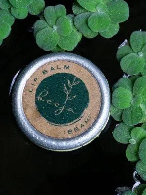 Ibbani Lipbalm