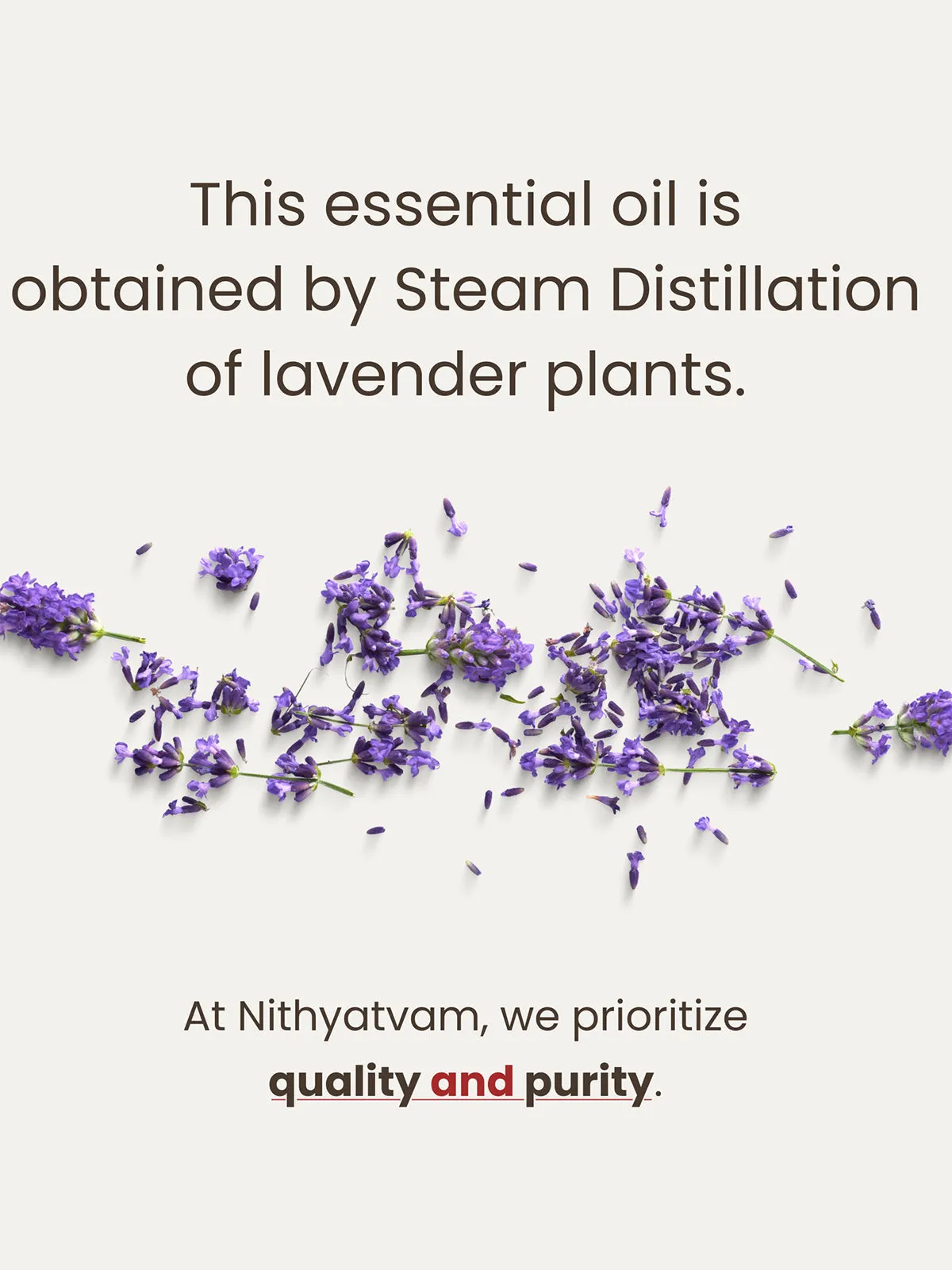 Indian Lavender Essential Oil